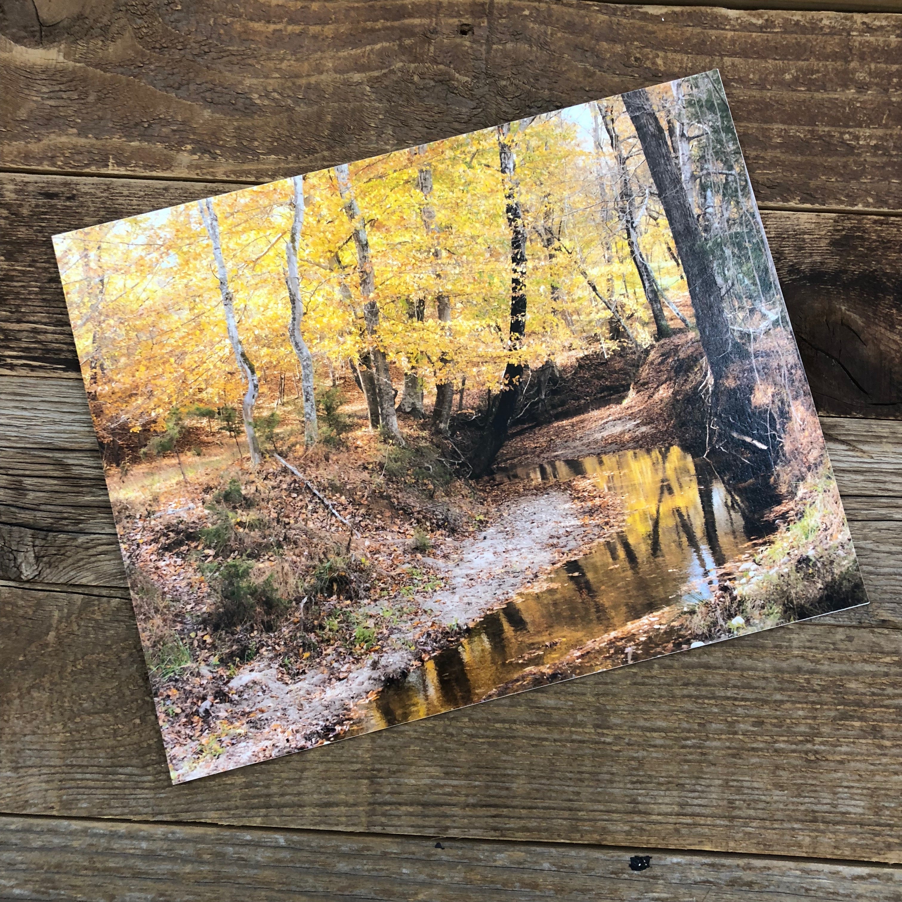 Creek Dressed in Fall Print | This Farm Wife